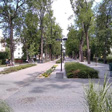 Apartament Zdroj Busko-Zdrój Esterno foto